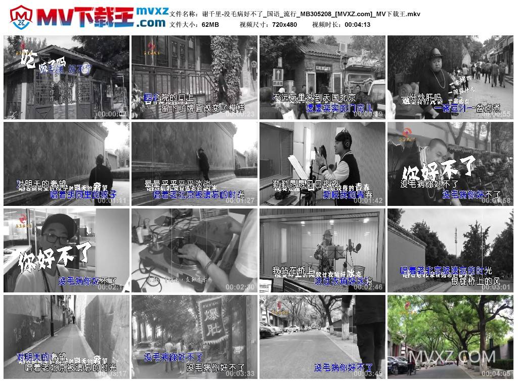 谢千里-没毛病好不了_国语_流行_MB305208